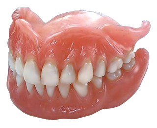 直接来自源头，品质始于细节 - 16